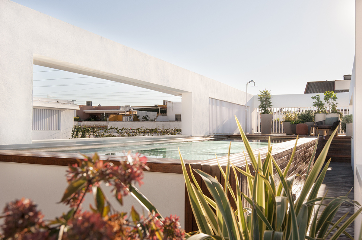 Hotel mercer sevilla outdoor terraza with rooftop plants